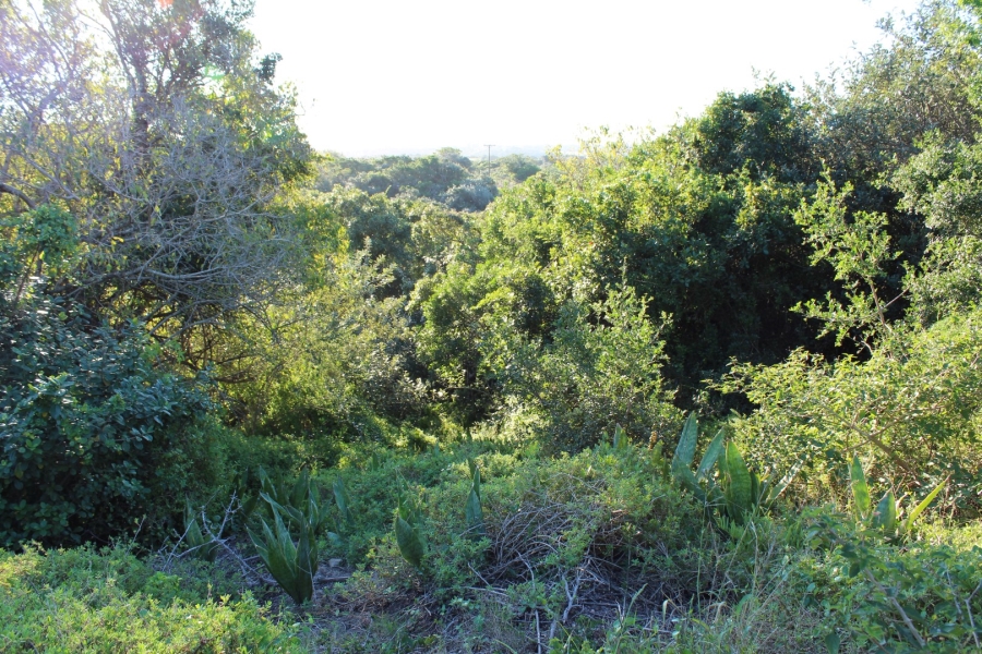 0 Bedroom Property for Sale in Kleinemonde Eastern Cape